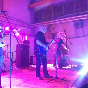 Die schwedische Band "Pitbullfarm" bei einem Auftritt bei "Blood & Honour" in Slovenien 2014