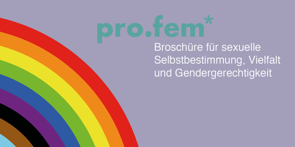 profem broschüre cover