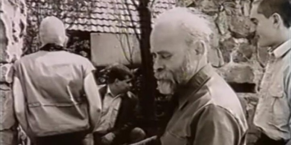 Karl Polacek