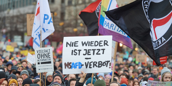 AfD Verbot Demo