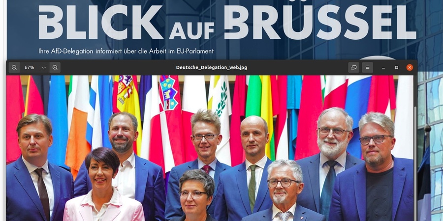 AfD EU