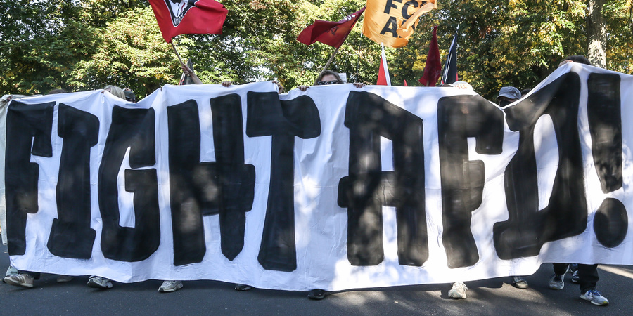 fight afd