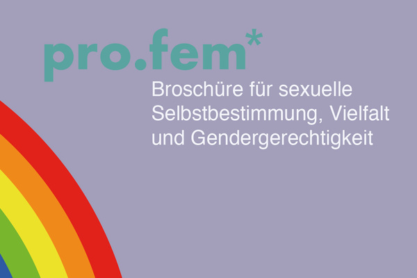 profem broschüre cover