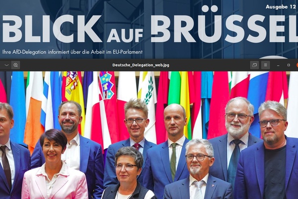 AfD EU