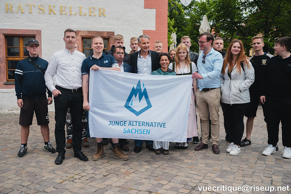 AfD-Sächsische-Seperatisten