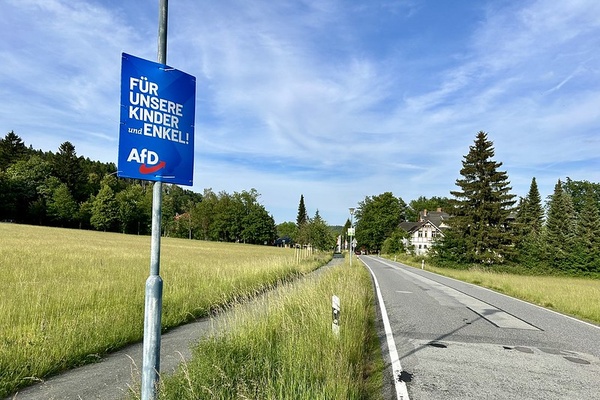 AfD Plakat