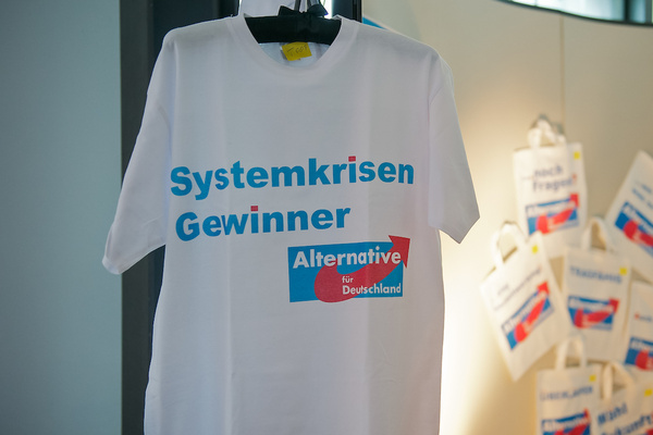 AfD Systemkrisengewinner