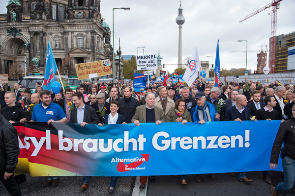 Flüchtlingsfeindliche AfD Demonstration.